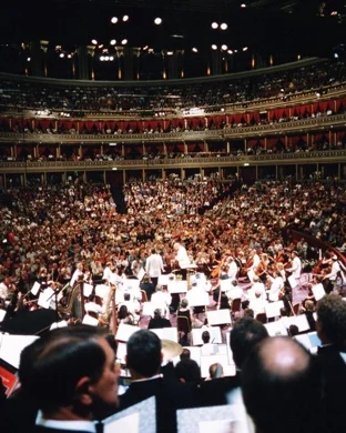 Dead Meat - Tribute to Grateful Dead