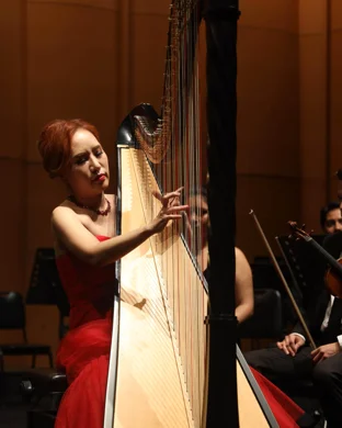 MTV Unplugged Tribute Band