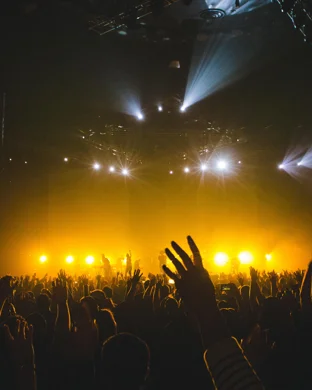 Playing Dead - Grateful Dead Tribute