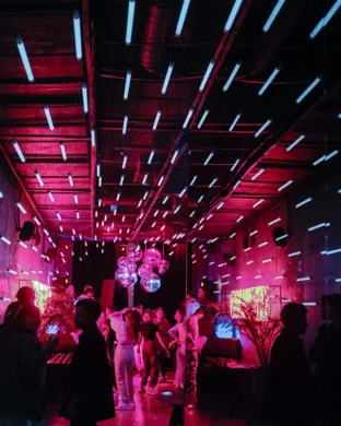 Live concert by Chrissy Chlapecka