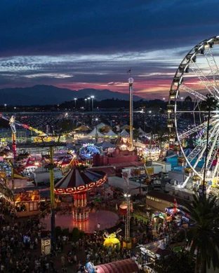 Newport Beer Festival
