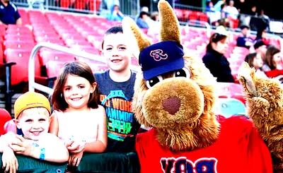Brockton Rox
