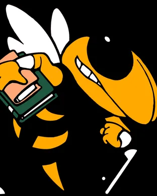 Georgia Tech Yellow Jackets