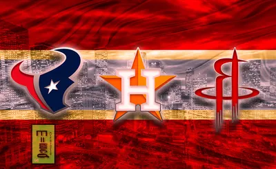 Houston Texans