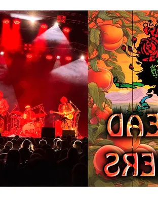 Live Dead & Brothers