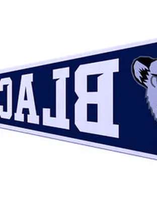 Maine Black Bears vs. Providence Friars