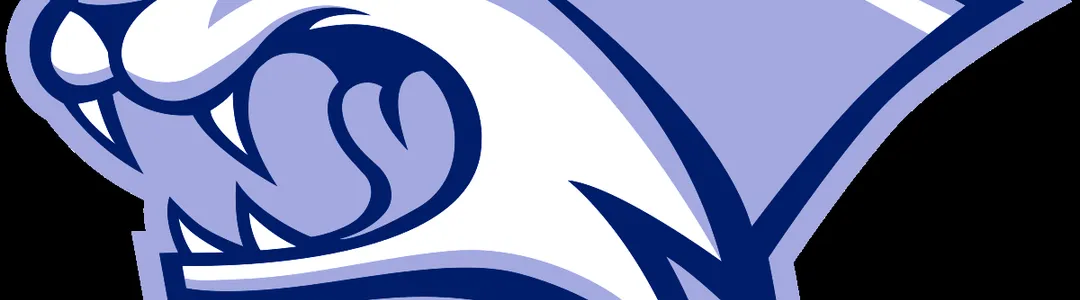 New Hampshire Wildcats