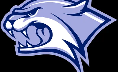 New Hampshire Wildcats