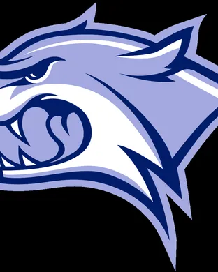 New Hampshire Wildcats