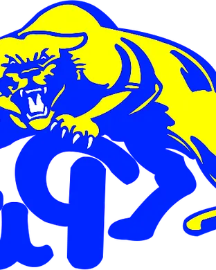 Pittsburgh Panthers