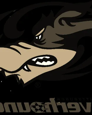 Pittsburgh Riverhounds SC