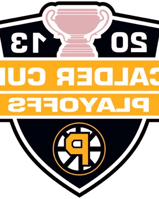 Providence Bruins Providence
