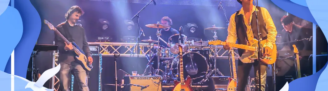 The Breakers - Tom Petty Tribute