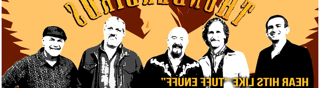 The Fabulous Thunderbirds