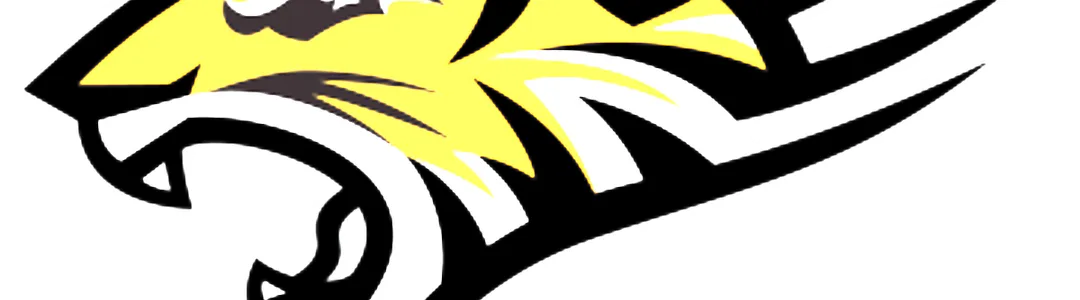 Towson Tigers Football