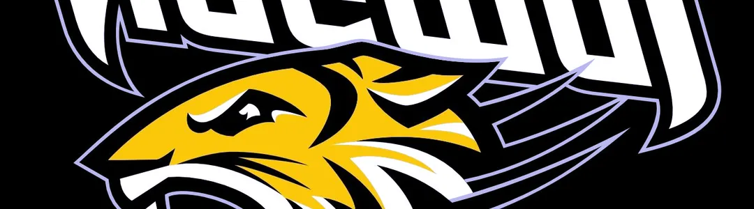 Towson Tigers
