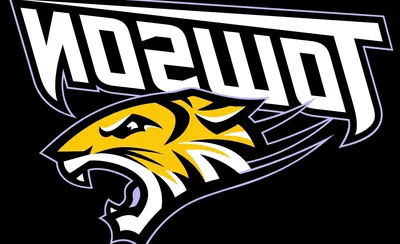 Towson Tigers