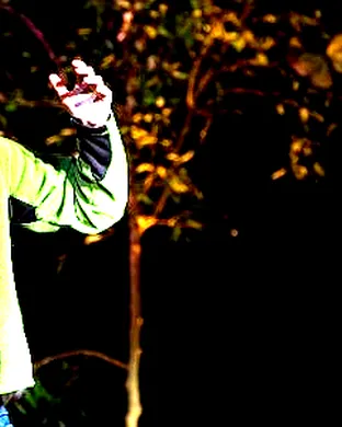 Wild Kratts - Live theatre performance