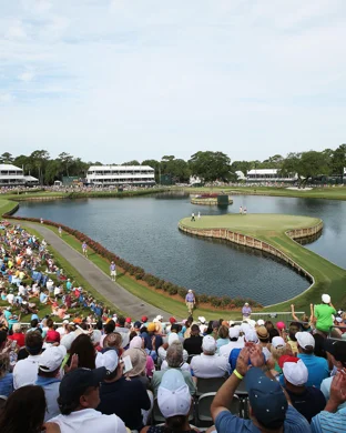 Little Mania Midget Wrestling