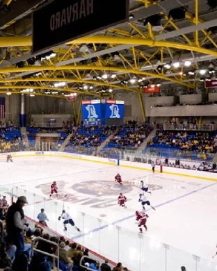 New Hampshire Wildcats Hockey